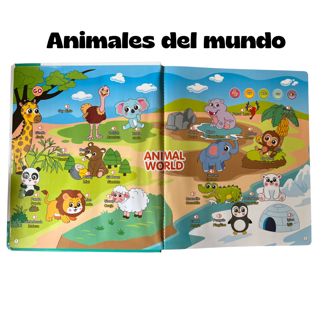 EBOOK - conociendo nuevas palabras inglés & español