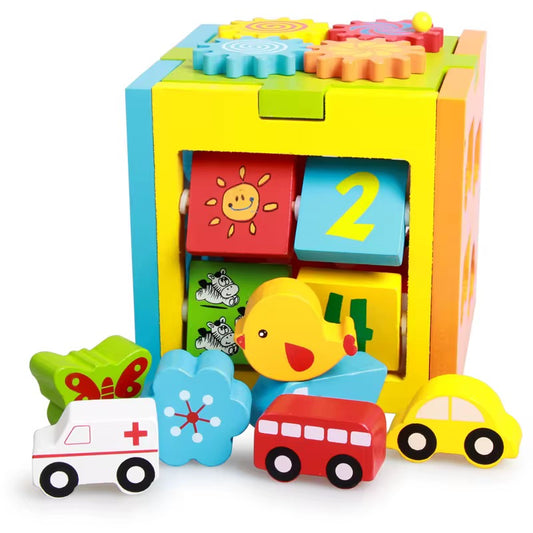 Cubo multifuncional - 5 actividades